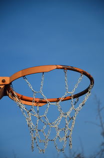 华体会体育登录入口-NBA球员体能训练计划设计与效果评估,nba球员的体能训练
